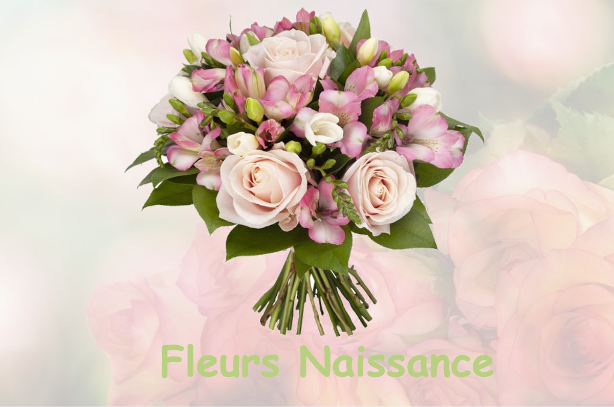 fleurs naissance COISERETTE