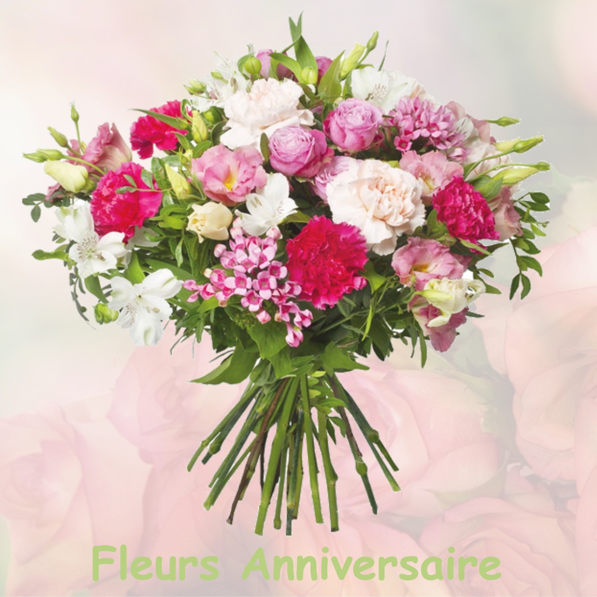 fleurs anniversaire COISERETTE