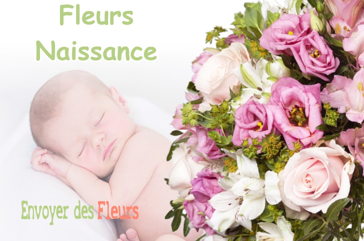 lIVRAISON FLEURS NAISSANCE à COISERETTE